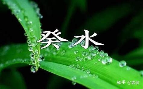 癸水 壬水|壬水